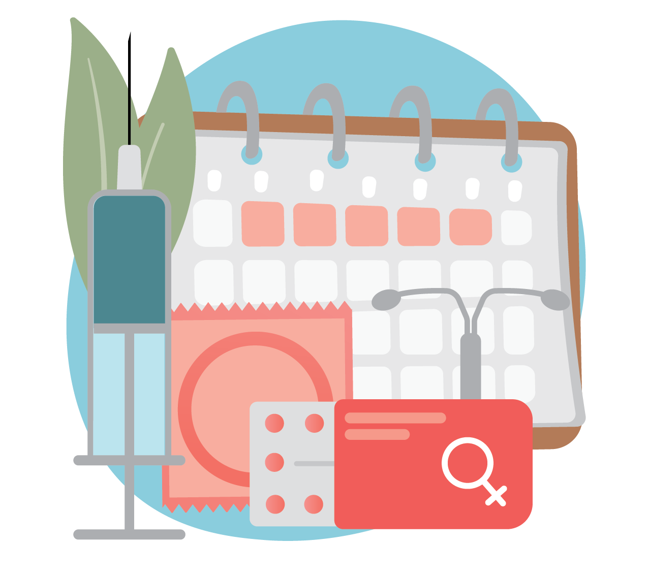 What Do Mississippi Parents Think About Sex-Related Education in Public Schools? | 2011 Issue Brief