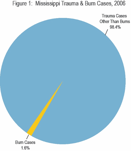 figure-1-ms-trauma-and-burn-cases-2006-for-web-558x640