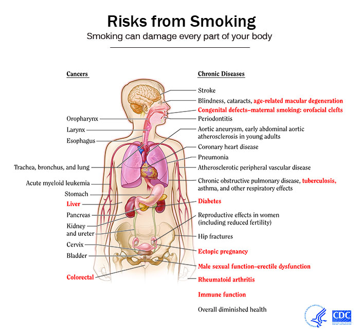 The Effects Of Tobacco On The World